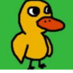 WE ARE THE DUCKS THAT RISE FROM dEATH
