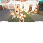 hone squad