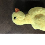 DUCKS AS THE GRIMREAPER