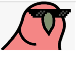 Parrot players_pros