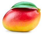 Mango-Moose crew