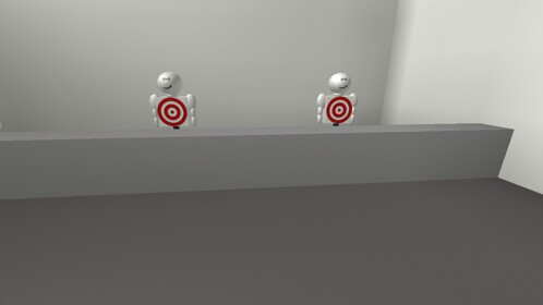 Shooting Range