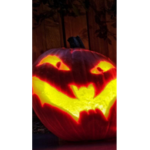 .•.Pumpkin Squad.•.