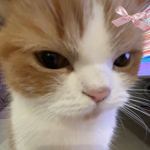 Oofnoof