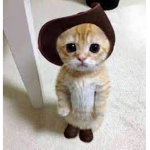 Mommy? Sorry. Kitten? Sorry. Mommy? Sorry. Kitten?