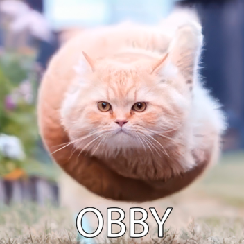 Flying Spinning Cat (OBBY)
