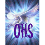 OHS [only head shots]