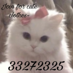 Kitty paws’