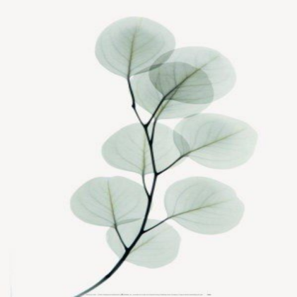 Green Aesthetic Roblox decal