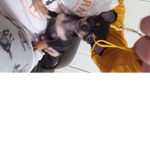 LovethePUPS!