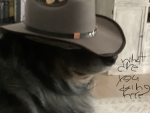 Doggy that goes cowboy?