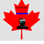 ZachPlayz State