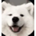 debil Party