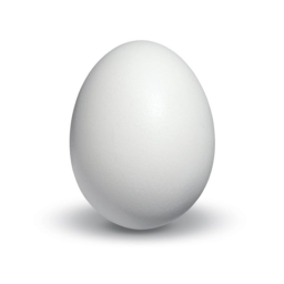 Eggy Co.