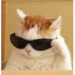 Japznnsaoq