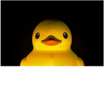 The Ducky Cult (TDC)