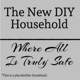 The New DIY Household