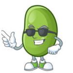 Bean Army United