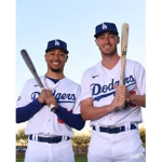 world series champions dodgers