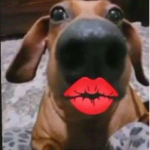 Pichul4 chik4