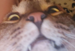 Pls join I will give robux
