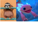 AjolotinGamerYT and Pereguay Friends