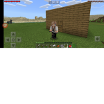Miss minecraft store