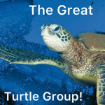 The Great Turtle Group