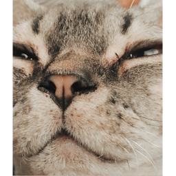 𝑆