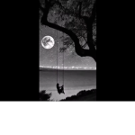 مملكه الفخامه
