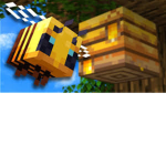 Isabella's Bee Hive