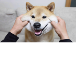 그룹내에서 노는 곳