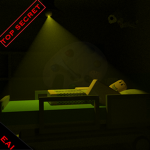 Echo Asylum Institute