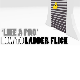 ladder flick practice