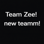 TeamZee Development