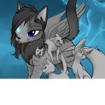 FrostClan ~Warriors RP~