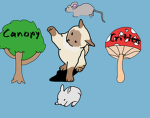 Performing Paws Staff Applications