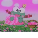 the Galexy kitty team