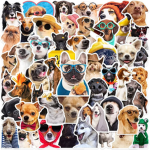 Pet Bingo Studios