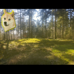 Galactic Doge Republic.
