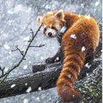 Pandainc Games