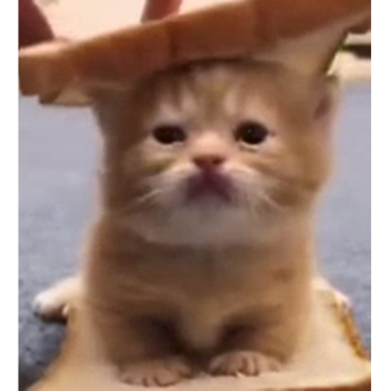 for gamepass dont mind