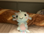 Axolotlelove