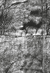 powering imagination lol Group Thumbnail