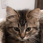 .lulu.
