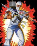 stormshadow ninja clan