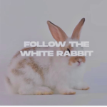 follow the white rabbit
