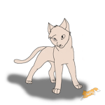 warrior cats rising storm