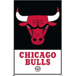 Chicago bulls rule ur ma