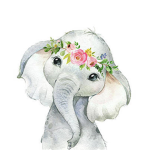 Elephantz Squadz2002
